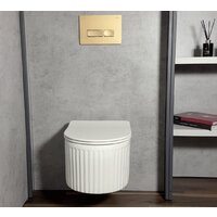 Roxen Royal Matt в комплекте с инсталляцией StounFix Dual Fresh 6 в 1 968283 (кнопка: оружейная сталь) Image #15