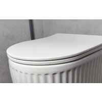 Roxen Royal Matt в комплекте с инсталляцией StounFix Dual Fresh 6 в 1 968283 (кнопка: оружейная сталь) Image #12