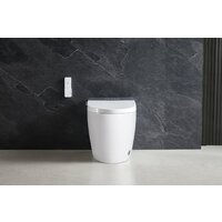 Унитаз приставной Roxen Smart Turbo 670300-02 - Превью изображения №3 — Интернет-Магазин TECNO.BY