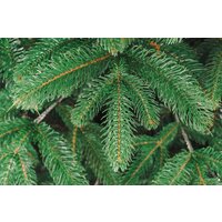 Бифорес Венера микс темная ВНМТ 165 Image #11