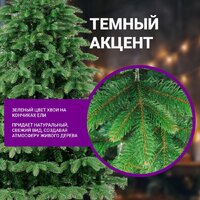 Бифорес Венера микс темная ВНМТ 165 Image #5