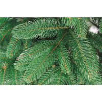 Бифорес Венера микс темная ВНМТ 165 Image #10