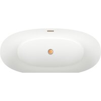 Wellsee Éclatant 159x74 231301004 (отдельностоящая ванна белый глянец, экран, ножки, сифон-автомат золото) Image #4