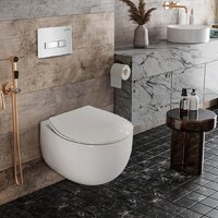 Roxen Egg в комплекте с инсталляцией StounFix Dual Fresh 6 в 1 964245 (кнопка: белое стекло) Image #9