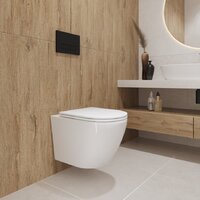 Lauter Vortex 2110830VP Image #7