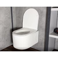 Roxen Royal Matt в комплекте с инсталляцией StounFix Dual Fresh 6 в 1 968291 (кнопка: белый/хром) Image #12