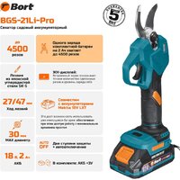 Bort BGS-21Li-Pro (с 1-им АКБ) Image #2