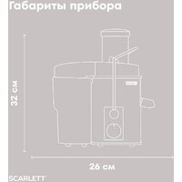 Соковыжималка Scarlett SC-JE50S66 - Превью изображения №14 — Интернет-Магазин TECNO.BY