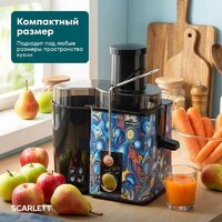 Соковыжималка Scarlett SC-JE50S66 - Превью изображения №15 — Интернет-Магазин TECNO.BY