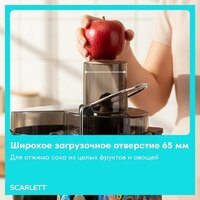 Соковыжималка Scarlett SC-JE50S66 - Превью изображения №7 — Интернет-Магазин TECNO.BY