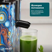 Соковыжималка Scarlett SC-JE50S66 - Превью изображения №10 — Интернет-Магазин TECNO.BY