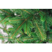 Бифорес Венера микс светлая ВНМС 165 Image #11