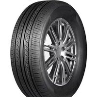 DoubleStar DH05 205/55R16 91V