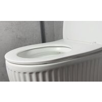 Roxen Royal Matt в комплекте с инсталляцией StounFix Dual Fresh 6 в 1 968297 (кнопка: черный/хром) Image #9