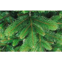 Бифорес Венера микс светлая ВНМС 130 Image #10