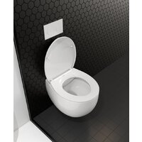 Унитаз подвесной Roxen Egg в комплекте с инсталляцией StounFix Dual Fresh 6 в 1 964215 (кнопка: оружейная сталь) - Превью изображения №11 — Интернет-Магазин TECNO.BY