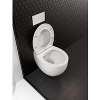 Унитаз подвесной Roxen Egg в комплекте с инсталляцией StounFix Dual Fresh 6 в 1 964215 (кнопка: оружейная сталь) - Превью изображения №12 — Интернет-Магазин TECNO.BY