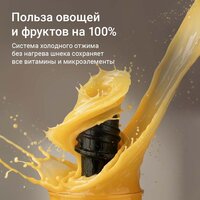Соковыжималка Redmond (Редмонд) J1420 - Превью изображения №10 — Интернет-Магазин TECNO.BY