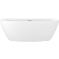 Wellsee Pro Line 170x80 28750104R (отдельностоящая ванна белый глянец, экран, ножки, сифон-автомат золото) Image #1