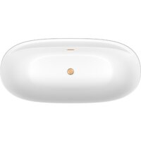 Wellsee Pro Line 170x80 28750104R (отдельностоящая ванна белый глянец, экран, ножки, сифон-автомат золото) Image #4