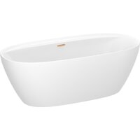 Wellsee Pro Line 170x80 28750104R (отдельностоящая ванна белый глянец, экран, ножки, сифон-автомат золото) Image #2