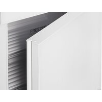 Nord (Nordfrost) RFC 390D NFGW Image #4