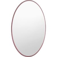Saniteco Зеркало 1M10 50 (марсала) Image #2