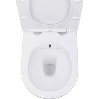 Roxen Antares Bidet в комплекте с инсталляцией StounFix Dual Fresh 6 в 1 868484 (кнопка: золото глянцевая) Image #9