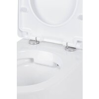 Roxen Antares в комплекте с инсталляцией StounFix Dual Fresh 6 в 1 968050 (кнопка: брашированное золото) Image #7