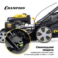 Газонокосилка Champion LM5131 - Превью изображения №18 — Интернет-Магазин TECNO.BY