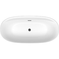 Wellsee Pro Line 170x80 28750103R (отдельностоящая ванна белый глянец, экран, ножки, сифон-автомат матовый черный) Image #4