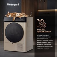 Weissgauff WD 6010 Heat Pump Champagne Image #20