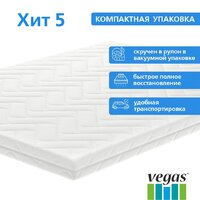 Vegas Хит 5 100x180 Image #4