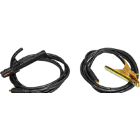 Сварог REAL ARC 220 (Z243N) Image #6