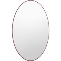 Saniteco Зеркало 1M10 100 (марсала) Image #2