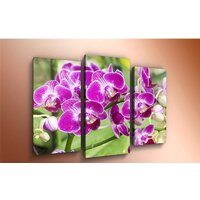 Arthata m-000578 90x60