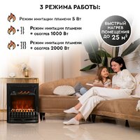 Planta PFP-FS400 (черный) Image #8