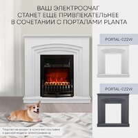 Planta PFP-FS400 (черный) Image #7