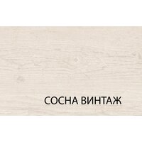 Anrex Magellan 3D2Sn Сосна Винтаж Image #5