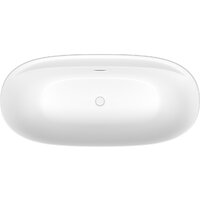 Wellsee Pro Line 170x80 28750102R (отдельностоящая ванна белый глянец, экран, ножки, сифон-автомат глянцевый белый) Image #4