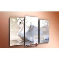 Arthata m-000443 90x60