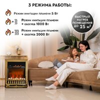 Planta PFP-FS400 (золотистый) Image #9