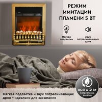 Planta PFP-FS400 (золотистый) Image #10