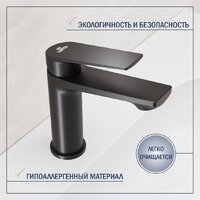 Lauter 21675 + Sky 21СК533BS с сифоном 21635B (черный матовый) Image #6