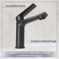 Lauter 21675 + Sky 21СК533BS с сифоном 21635B (черный матовый) Image #5