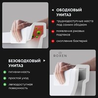Унитаз подвесной Roxen Antares Tornado Long 530205-01GB-L - Превью изображения №6 — Интернет-Магазин TECNO.BY