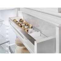Холодильник Liebherr ICBNSd 5623 Plus BioFresh NoFrost - Превью изображения №10 — Интернет-Магазин TECNO.BY