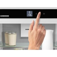 Холодильник Liebherr ICBNSd 5623 Plus BioFresh NoFrost - Превью изображения №4 — Интернет-Магазин TECNO.BY