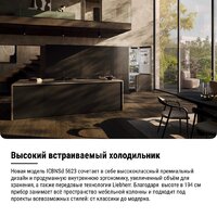 Холодильник Liebherr ICBNSd 5623 Plus BioFresh NoFrost - Превью изображения №22 — Интернет-Магазин TECNO.BY