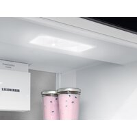 Холодильник Liebherr ICBNSd 5623 Plus BioFresh NoFrost - Превью изображения №5 — Интернет-Магазин TECNO.BY